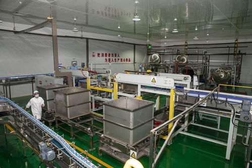 諸城強化服務企業專員作用，助推生物化工企業技術研發高質量發展