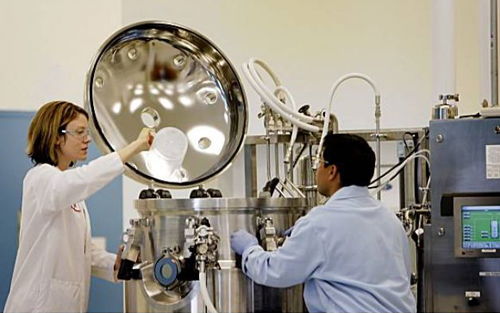 Amyris 美國工業生物技術先鋒的衰落樣本